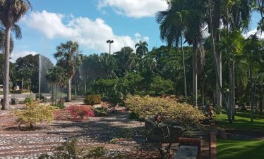Tour al Jardín Botánico de Santo Domingo