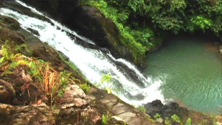 rio-cedro-waterfalls-5b8c6d7d