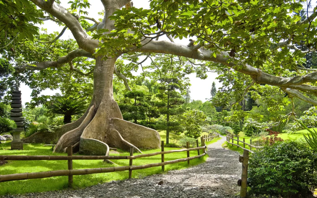 jardinbotanico