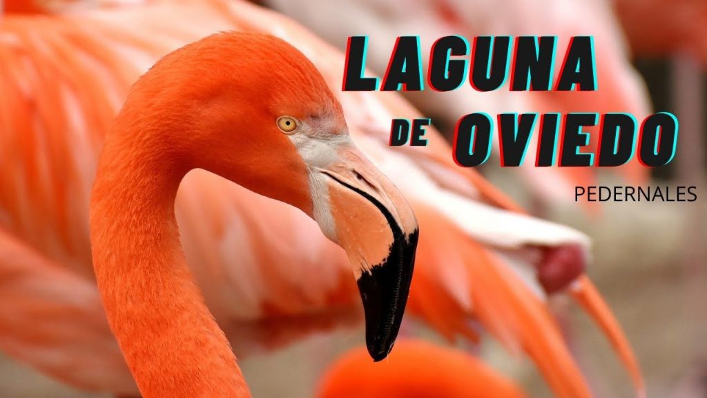 lagunadeoviedo