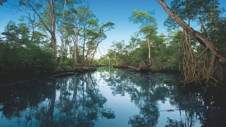 lagunagrigri