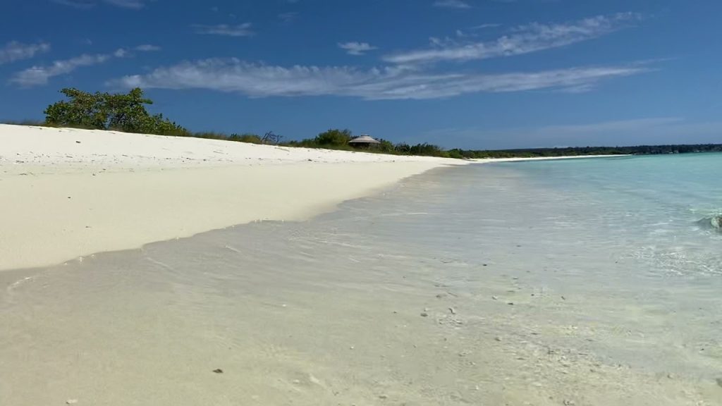 playapedernales