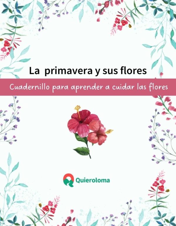 La primavera, las flores y cómo cuidarla