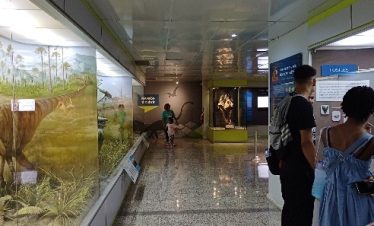 museo de histotia natural